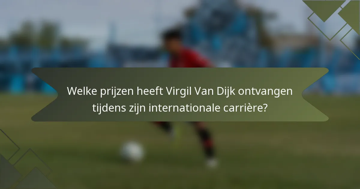 Welke prijzen heeft Virgil Van Dijk ontvangen tijdens zijn internationale carrière?